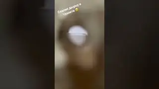 Спалил дырку в туалете🥹