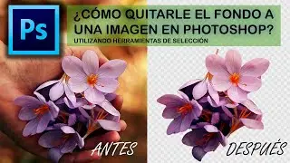 ¿Cómo quitarle el fondo a una imagen en Photoshop?