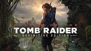 Linux Shadow of The Tomb Raider DXVK