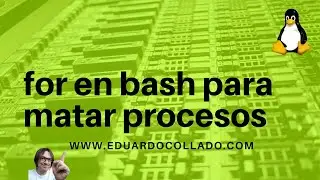 For en bash para matar procesos