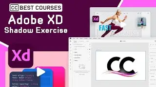 15  Shadow Exercise