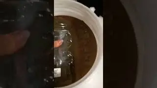 Солёные грузди 👌💞 