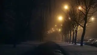 diedlonely = analogue winter [1 hour loop version]