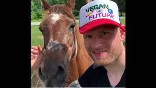 Justin Timberlake SELFISH New Reply Goes Around Back to SNL VEGAN FUTURE Concert A to I Beat