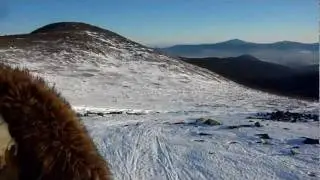 Конжак 2011