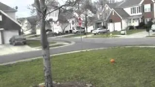 Trick Shotz- Crazy Basketball Shot