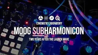 Moog Subharmonicon | Two Years Later