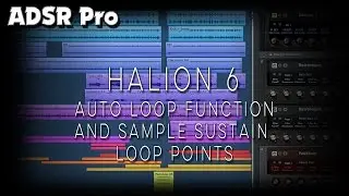 HALion 6 Auto Loop Region and sample sustain loop points.