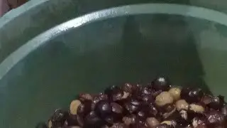 PROSES RENDANG JENGKOL LEMBUT.