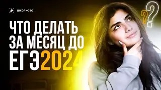 ДО ЕГЭ МЕСЯЦ | Что делать?