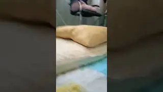 1 серия живое шушество