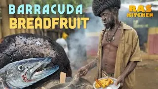 Baby Barracuda Breadfruit Bonanza!