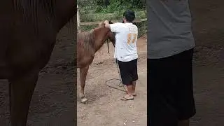 #egua