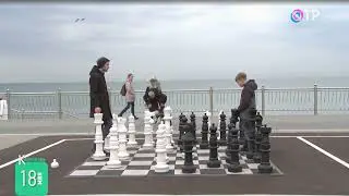 Всемирный День музеев: Музей черепов и скелетов, Музей кукол, Мурариум. Зеленоградск