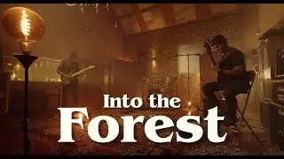 INTO THE FOREST - Szymon Kozikowski Trio (Live Session)
