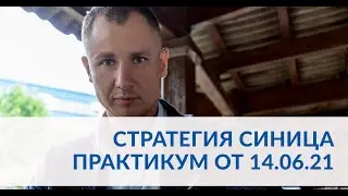 Практика торговли Стратегии Синица. Онлайн торговля с экспертом 14.06.2021
