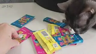 Томас и скрепыши. Thomas and the Clips.