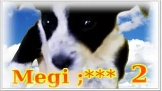 Megi ;***  2