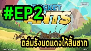 Pocket Ant 
