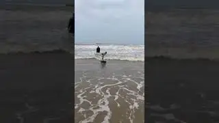 @surf @croa