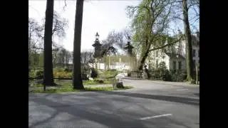 Veluwe & Utrechtse Heuvelrug deel 04