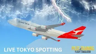 PTFS Planespotting - Tokyo RWY Cam - STORM