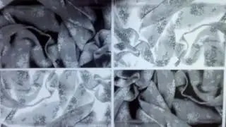 Canon iR 5055 product demo