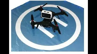 Bugs 6 +  Actioncam