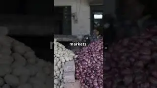 SHOCKING FACTS ABOUT POOR FOOD IN INDIA || #facts #trending #history #viralvideo #new #trend #shorts