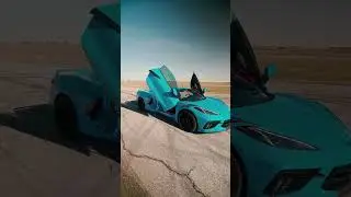 LAMBO DOORS 