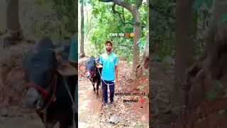 एकच नाद 😇❤️