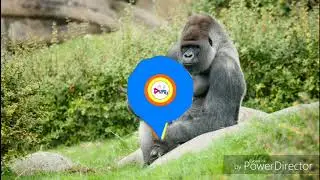 Gorilla remix by DJ SMILE