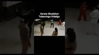 DOJO SHUDOKAN MARTIAL VERA