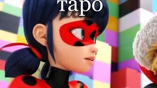 клип леди баг и супер кот ~ таро