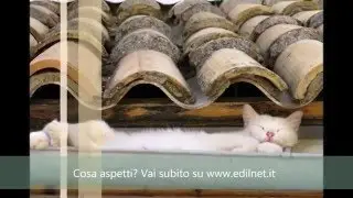 COSTO RISTRUTTURAZIONE TETTO - Edilnet.it - costo ristrutturazione tetto