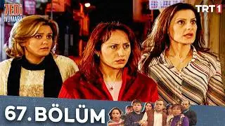 Yedi Numara 67.Bölüm