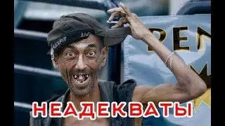 Придурки 80 LVL. Свежая подборка!!!