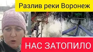 РАЗЛИВ. РЕКА ВОРОНЕЖ/ПЕРЕПРАВА/КАК ДОБРАТЬСЯ ДО РАБОТЫ И ОБРАТНО