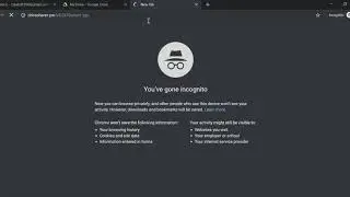 Verification of DriveSharer.pw
