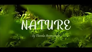 Nature | Cinematic Nature Video with Relaxing Music | Mobile Videography