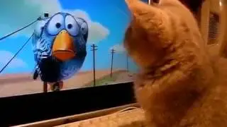 Кошечка смотрит мультик/ видео прикол котенок смотрит мультик