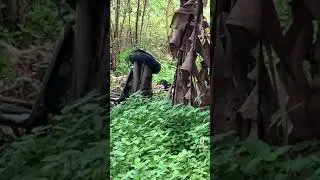 Kepergok lagi indehoy di bulan suci ramadhan