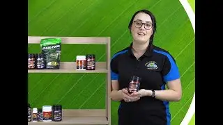 Ectotherm: Vetafarm's updated Reptile Range!