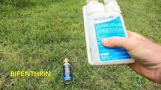 How To Deter Tick Bites And Keep Ticks Off