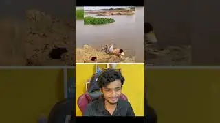 Funny Try Not To Laugh Challenge 😂 
