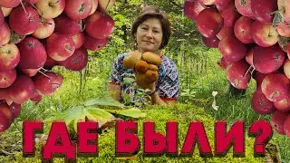 Где были.  Что делали.  Зефир из яблок в домашних условиях.