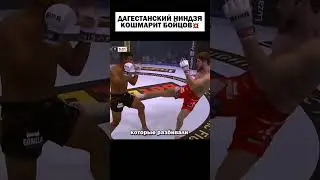 ЭТОТ ДАГЕСТАНЕЦ БУДЕТ ТОПОМ UFC🏆 