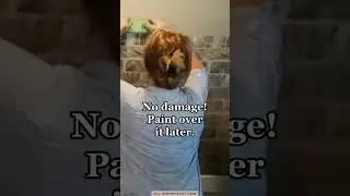Painting a Brick Accent wall!