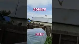 Ловите моменты ЛЕТА🤗♥🤩!!!
