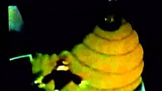Darkwing Duck Snake Inflation